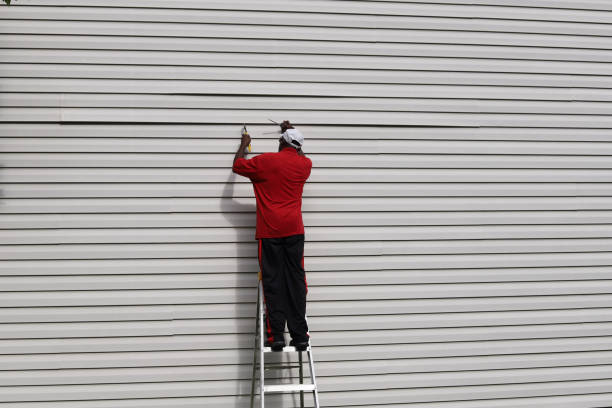 Best Custom Siding Design  in Harlan, KY